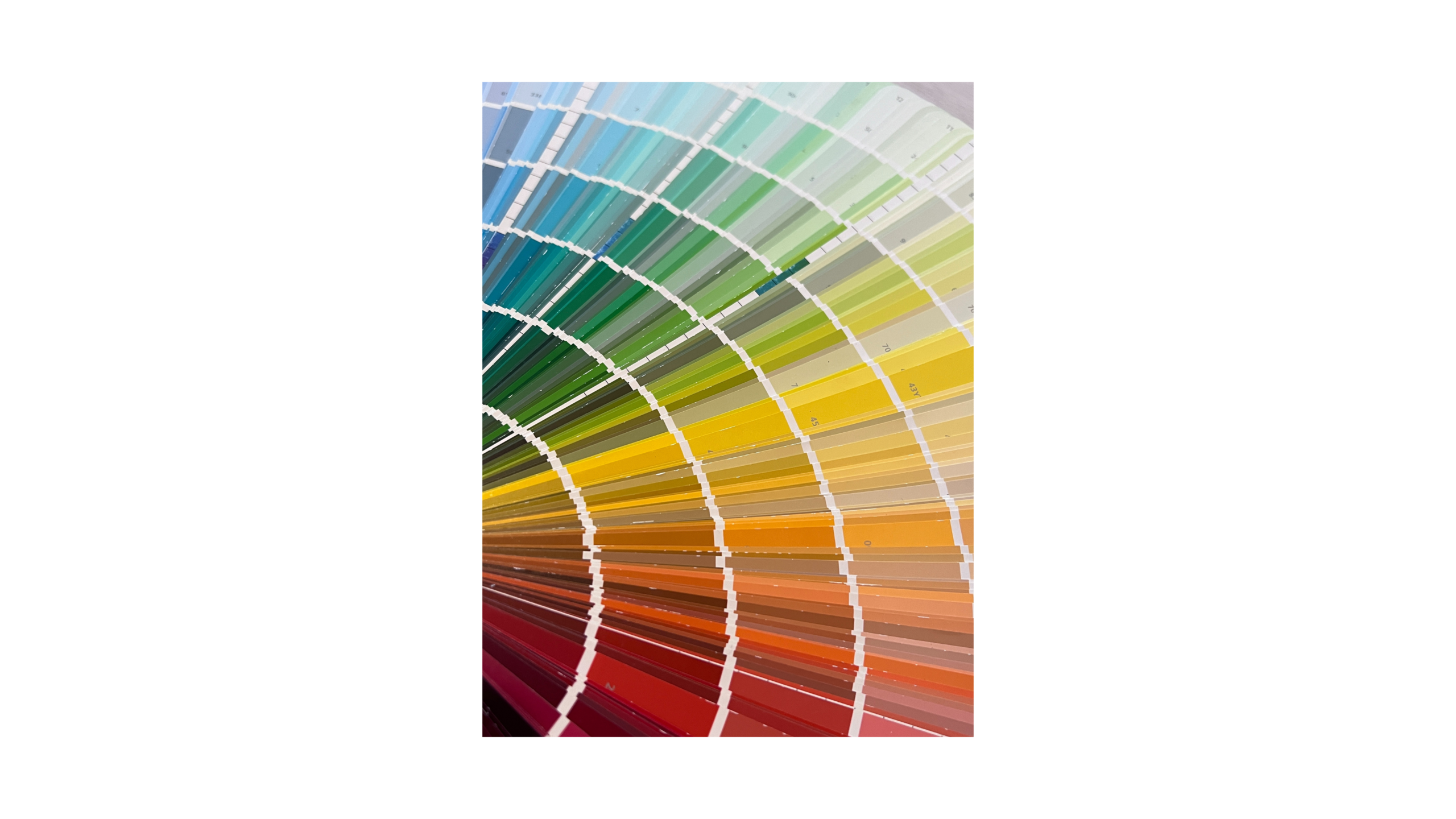 Illustration Branding 2